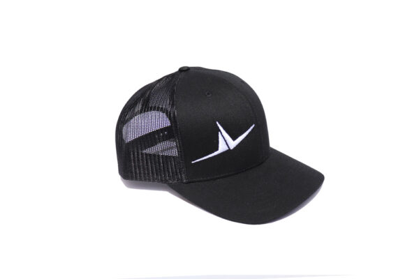 FLT Wings hat. Black front with black back.