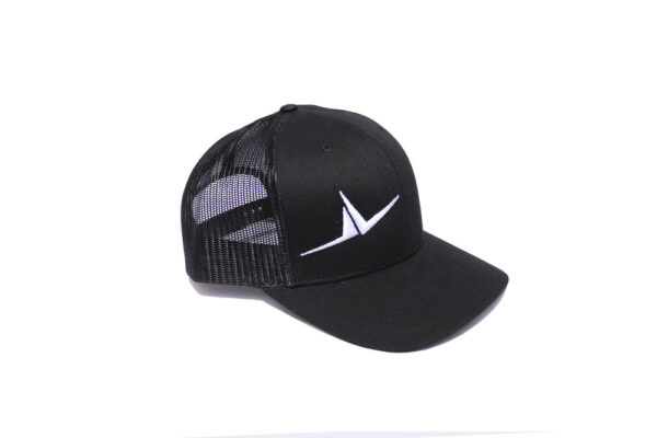FLT Wings Hat - Image 3